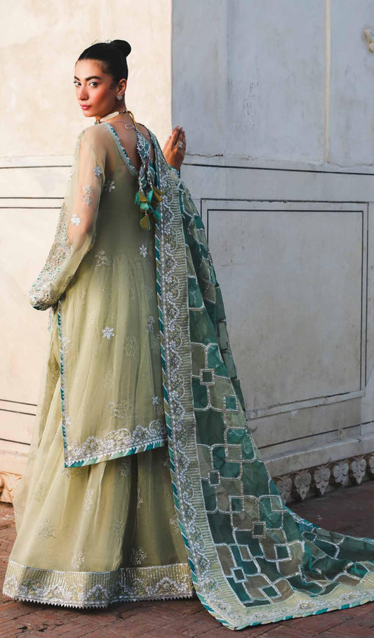 Zauj by Raeesa Premium AAK-06